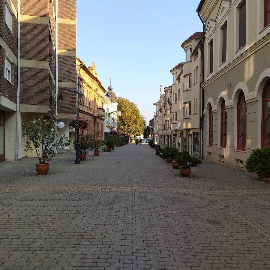 Apartmán Krenusz Vendeghaz. Kaposvár Exteriér fotografie