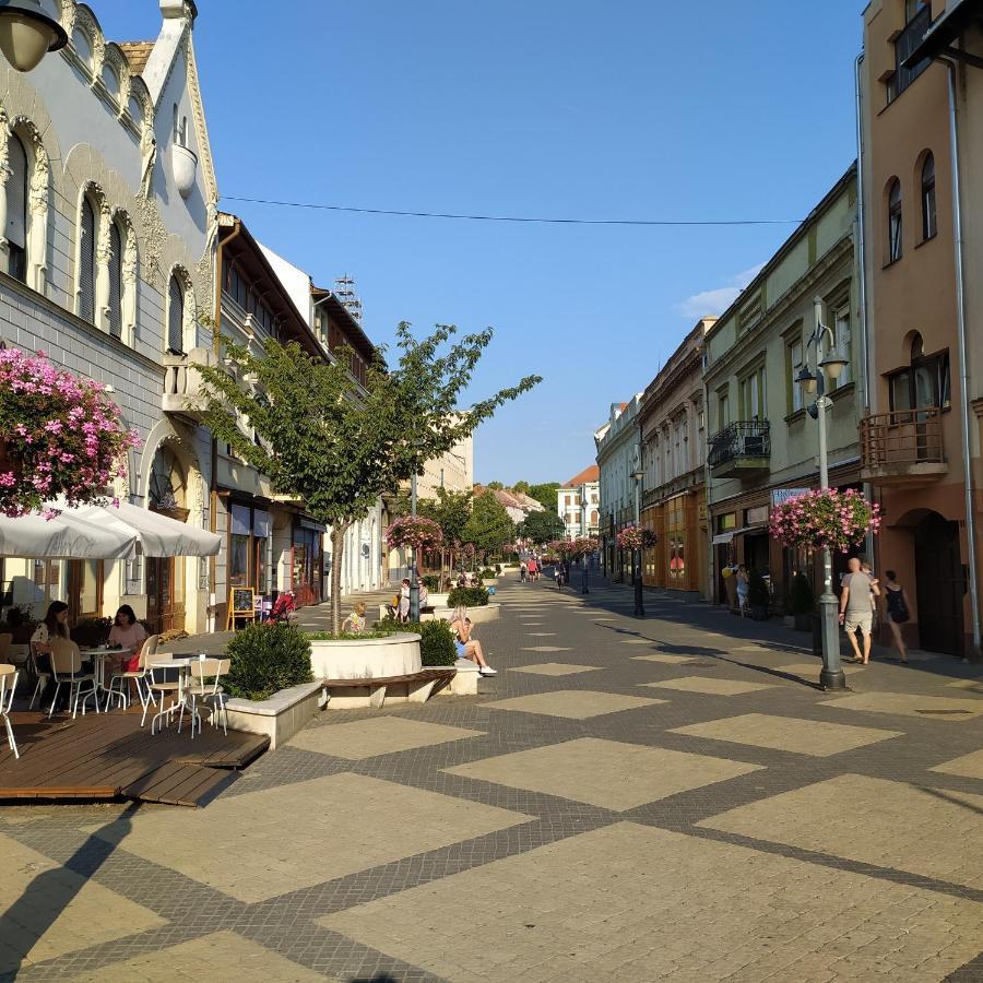 Apartmán Krenusz Vendeghaz. Kaposvár Exteriér fotografie